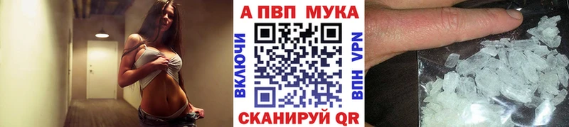 магазин Коряжма APVP крисы CK