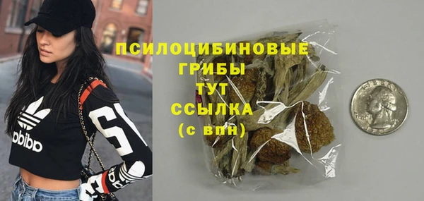 хмурый Алексин