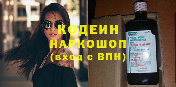 хмурый Алексин