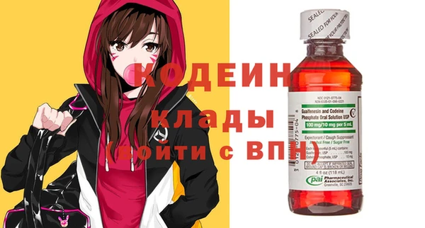 хмурый Алексин