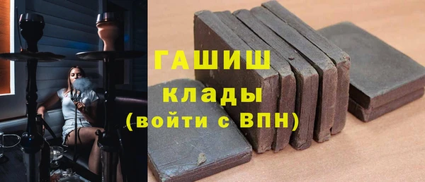 хмурый Алексин