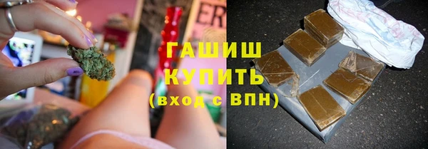 хмурый Алексин