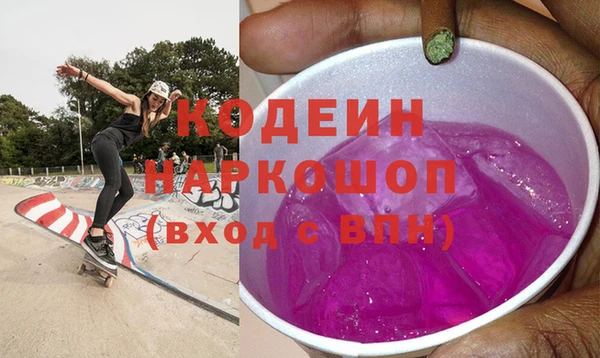 хмурый Алексин