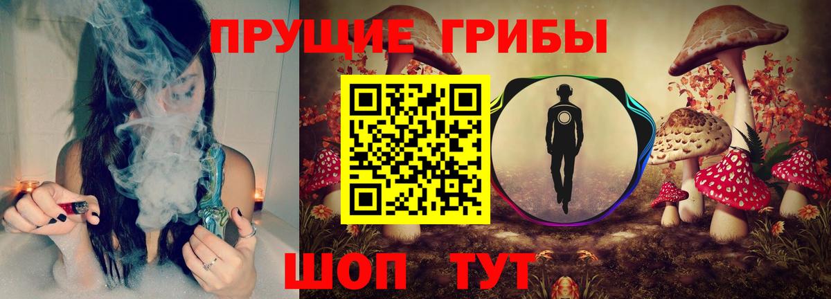 Псилоцибиновые грибы мицелий Коряжма